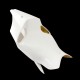 Carénage poly complet racing fibre de verre R1 2020-2024 SEBIMOTO