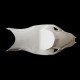 SRT Fairings Komplettsatz 5-teilig Racing aus GFK- BMW S100RR/HP4
