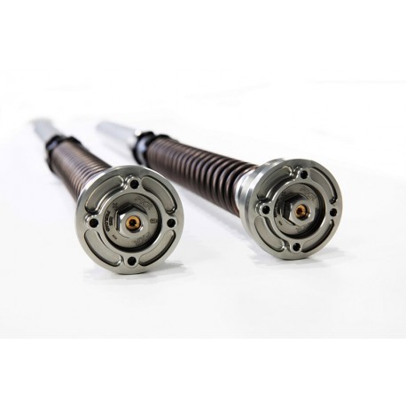 Kit cartouche bitube TTX 25 OHLINS Street Triple 765 RS 2022, CBR600RR 2021-2026