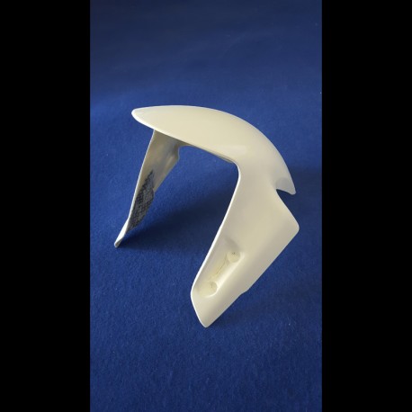 Sebimoto Fiberglass Front Fender for Ducati Panigale V4/V4S 2018–2023 | Panigale V4R 2019–2021