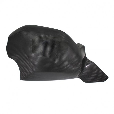 Carbon Schwingenschoner für Ducati Panigale V4/V4R/V4S 2018-2021