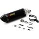 Akrapovic Carbon-Rennsportauspuff ohne ABE für Kawasaki Ninja 300 2013–2016 | Z300 2015–2016