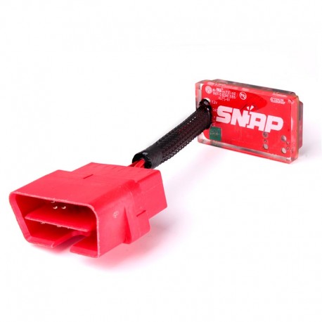Snap Lambdasonden-Eliminator/Fehlleitung ohne ABE RBW SKULL BMW 2024-