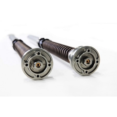 Kit cartouche bitube TTX 25 OHLINS ZX10R 2016-2022, ZX10RR 2018-2022, GSXR1000R 2017-2021