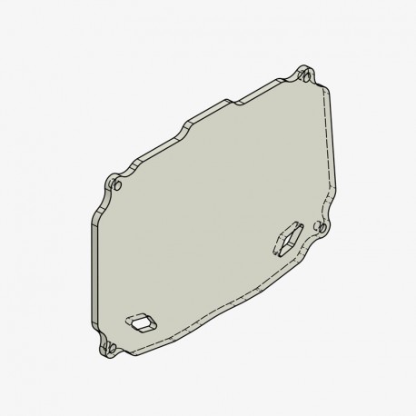 Vitre de remplacement pour protection de tableau de bord Bonamici Racing Kawasaki Z 900 2020-