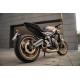 Spark Exhaust EURO5+ exhaust system with 60'S silencer Trident 660, Tiger Sport 660 2025-2026