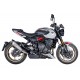 Spark Exhaust Euro5+ Slip-on Endschalldämpfer Trident 800 2026